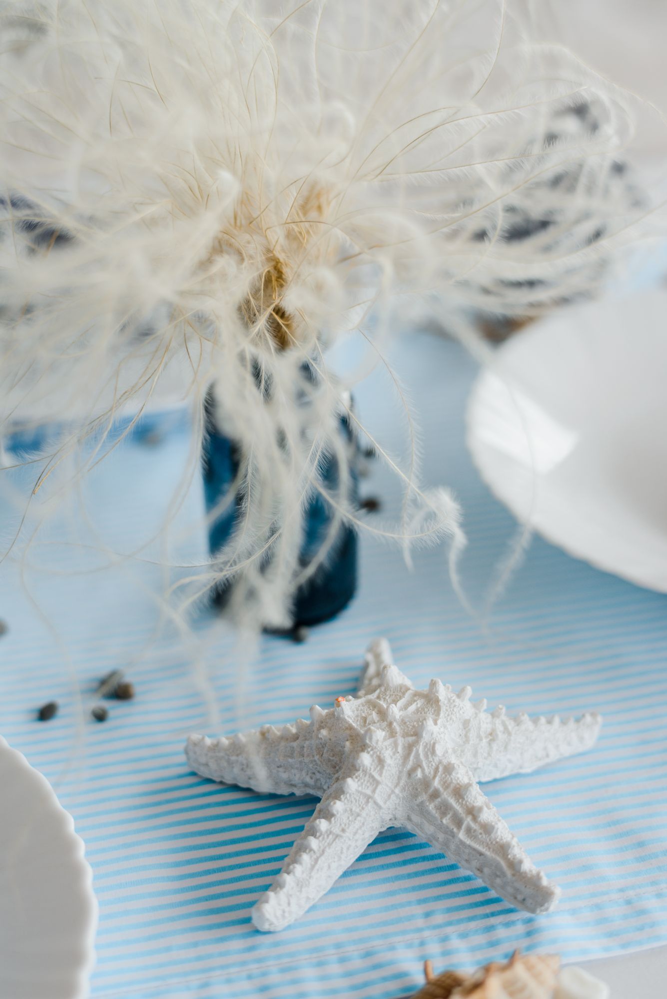 starfish-rope-blue-table-background-holiday-uder-white-curle-dried-flower
