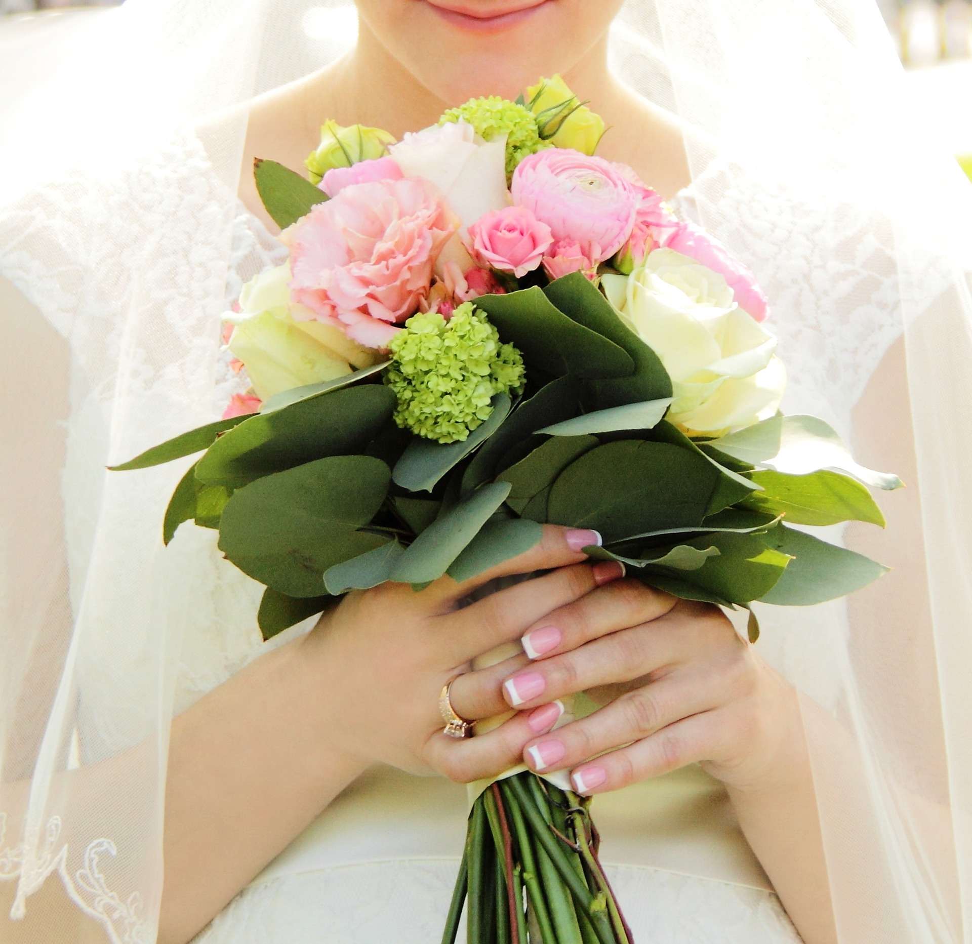 beautiful-3824665_1920